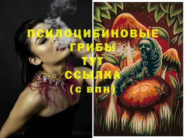 mix Вяземский