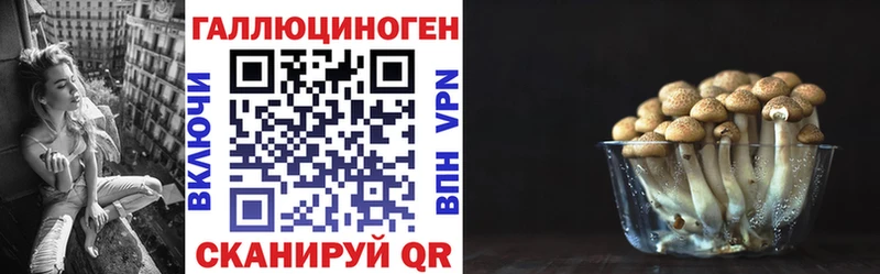 Псилоцибиновые грибы Cubensis  дарнет шоп  Можга 