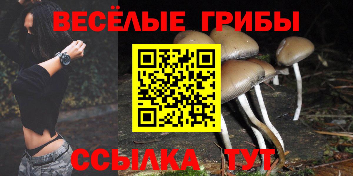 наркота  Псилоцибиновые грибы ЛСД  Можга  Псилоцибиновые грибы мухоморы 